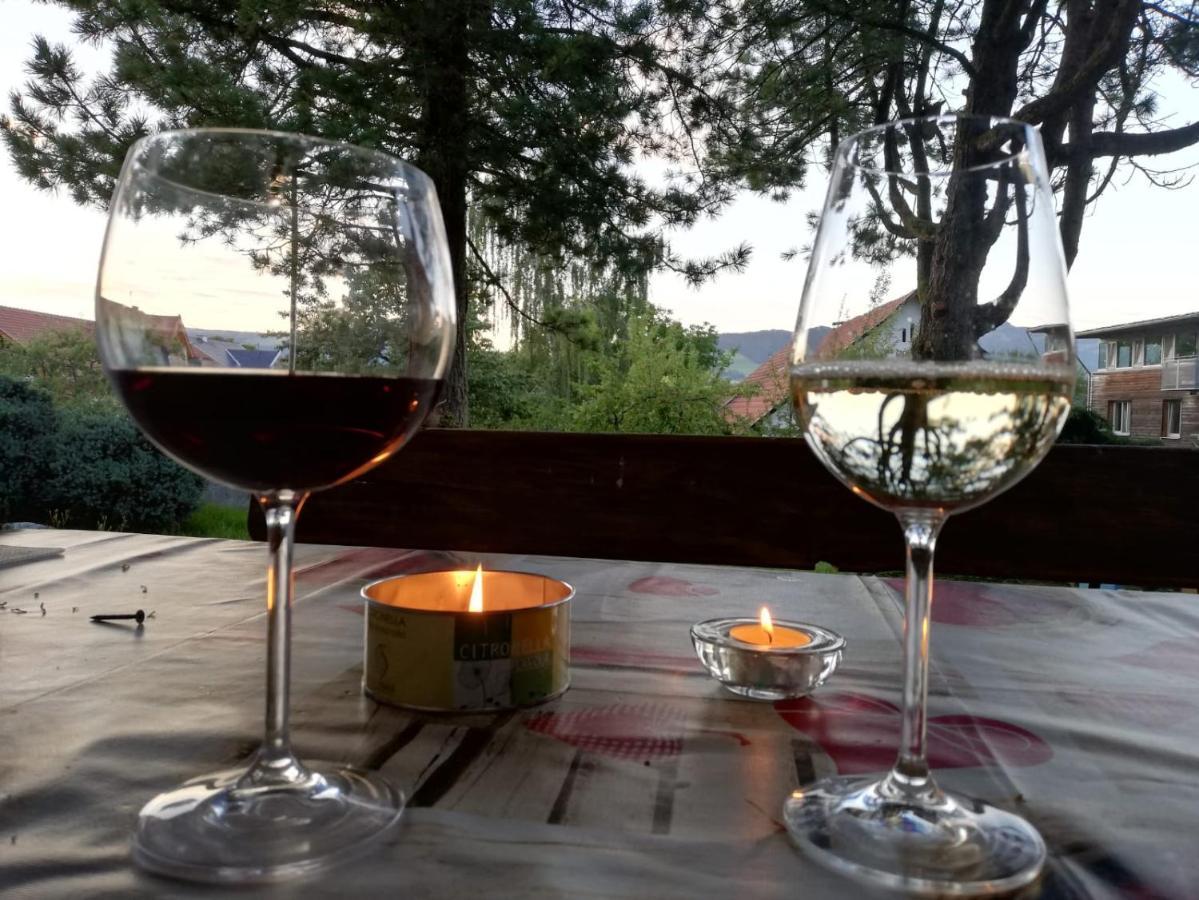 Ferienwohnung Bliem Feldkirchen in Kärnten Buitenkant foto