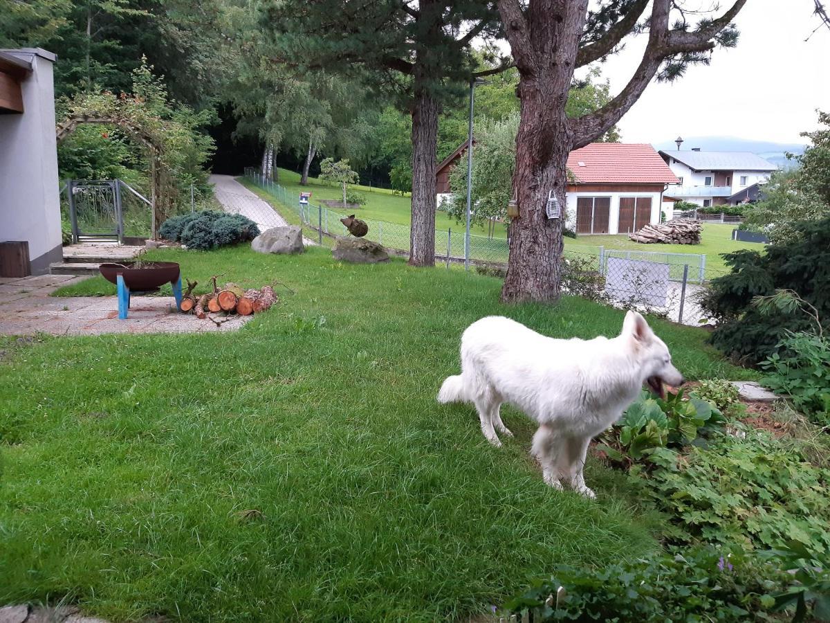 Ferienwohnung Bliem Feldkirchen in Kärnten Buitenkant foto